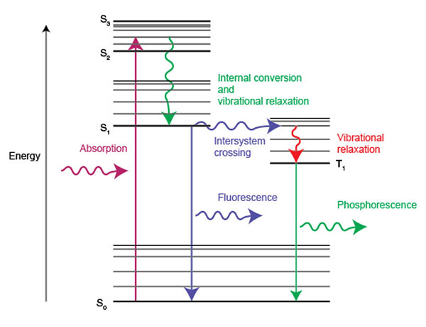 Energiediagramm, das die Absorption von Licht und die Prozesse veranschaulicht, die an der Emission von Licht in Form von Fluoreszenz und Phosphoresze